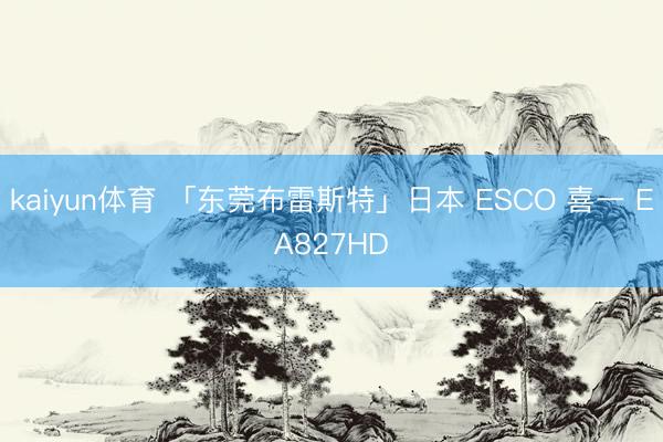 kaiyun体育 「东莞布雷斯特」日本 ESCO 喜一 EA827HD