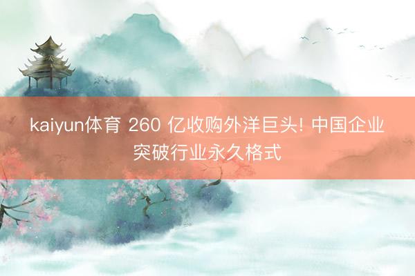 kaiyun体育 260 亿收购外洋巨头! 中国企业突破行业永久格式