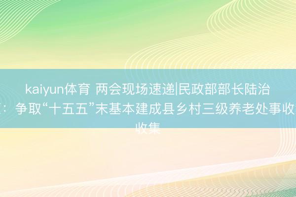 kaiyun体育 两会现场速递|民政部部长陆治原：争取“十五五”末基本建成县乡村三级养老处事收集
