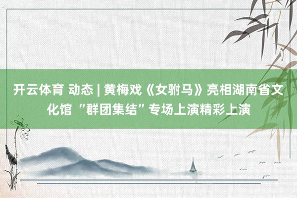 开云体育 动态 | 黄梅戏《女驸马》亮相湖南省文化馆 “群团集结”专场上演精彩上演