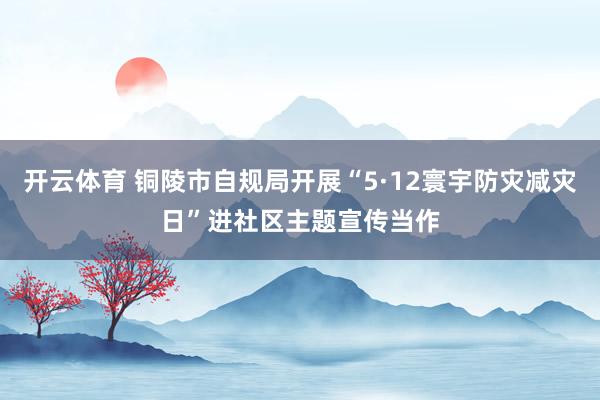 开云体育 铜陵市自规局开展“5·12寰宇防灾减灾日”进社区主题宣传当作