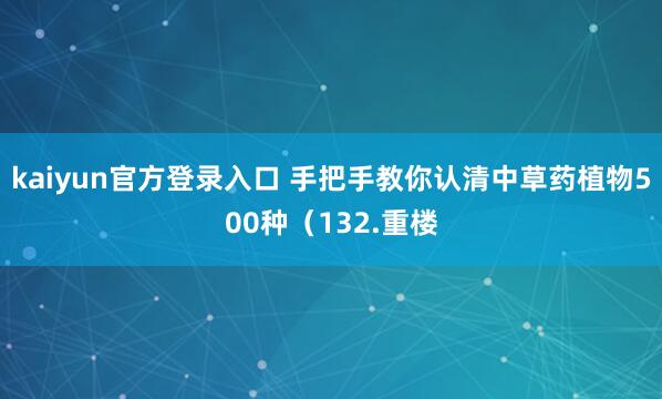 kaiyun官方登录入口 手把手教你认清中草药植物500种（132.重楼