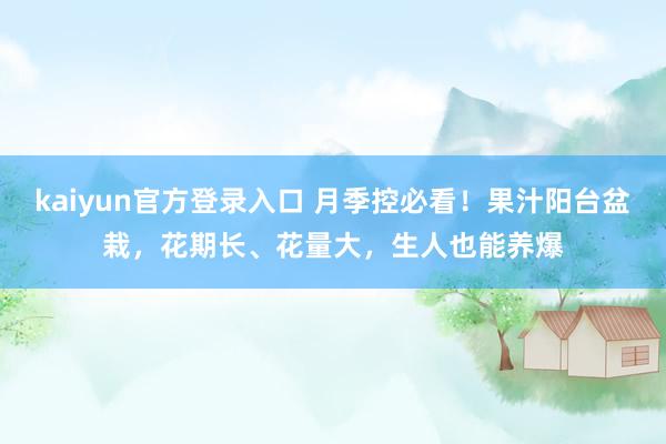 kaiyun官方登录入口 月季控必看！果汁阳台盆栽，花期长、花量大，生人也能养爆