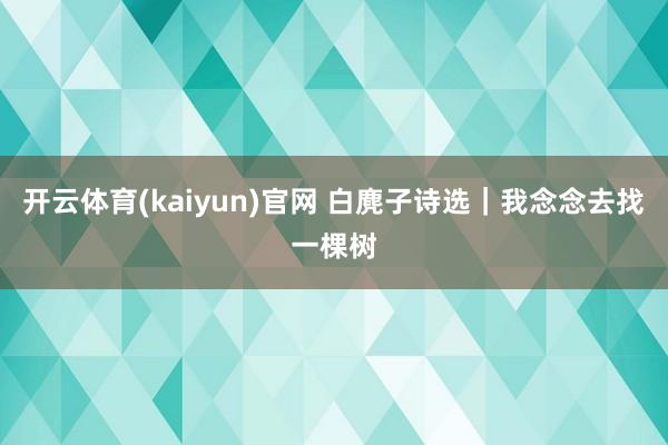 开云体育(kaiyun)官网 白麂子诗选|我念念去找一棵树