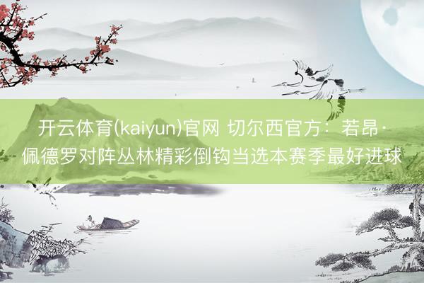 开云体育(kaiyun)官网 切尔西官方：若昂·佩德罗对阵丛林精彩倒钩当选本赛季最好进球