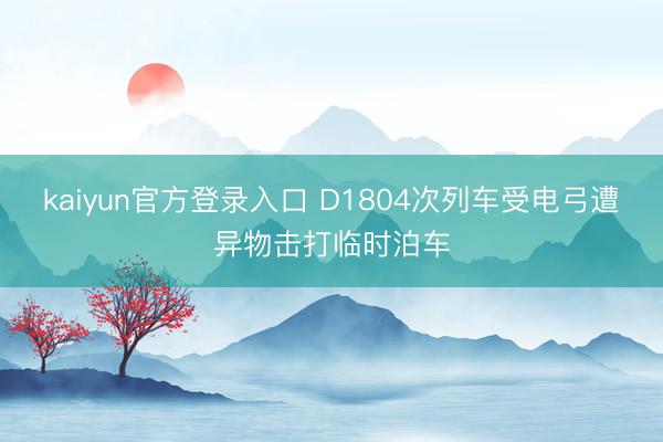 kaiyun官方登录入口 D1804次列车受电弓遭异物击打临时泊车