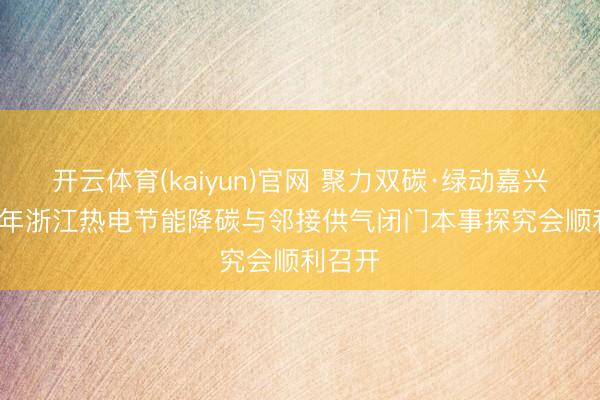 开云体育(kaiyun)官网 聚力双碳·绿动嘉兴|2026年浙江热电节能降碳与邻接供气闭门本事探究会顺利召开